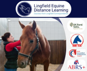 Lingfield Equine Distance Learning