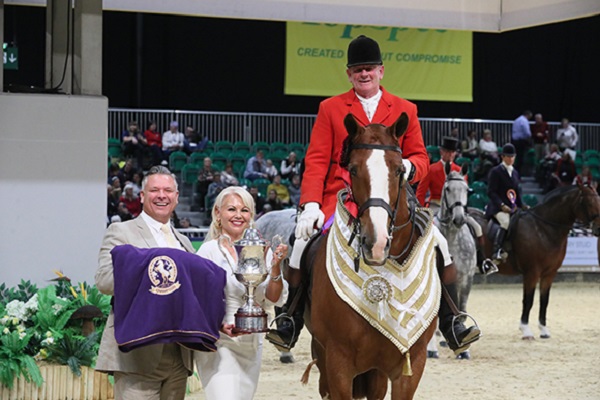 equestrian news equestrian index alex