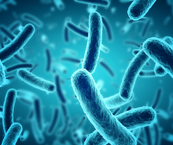 equestrian news equestrian index bacteria