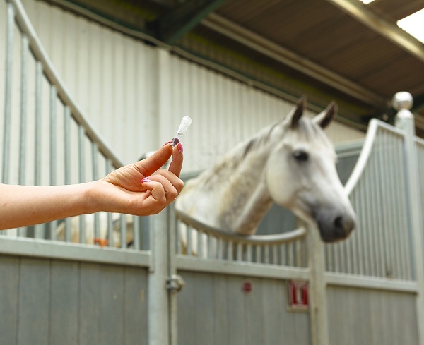 equestrian news equestrian index tube