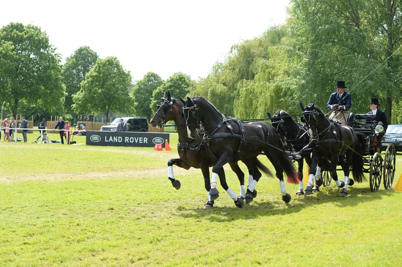 equestrian news the equestrian index boydrwhs 2018