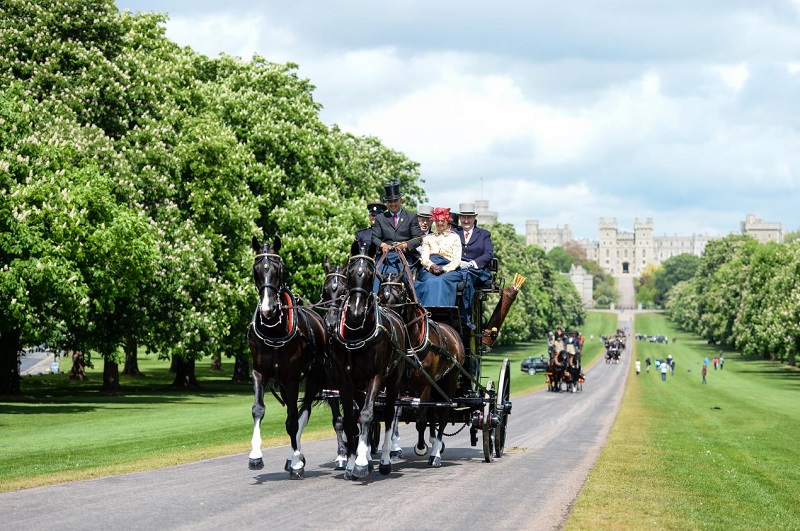 carriage windsor