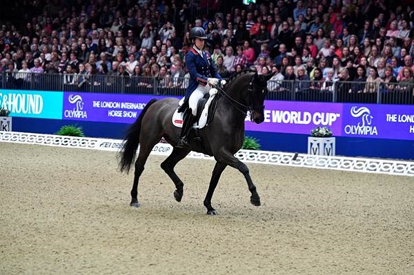 Equestrian News Equestrian Index cd