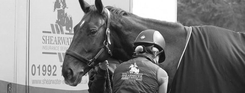 shearwater insurance image