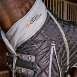 1015613/Comfy-Horse-14.jpg
