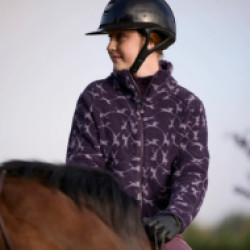 1015613/Comfy-Horse-15.jpg