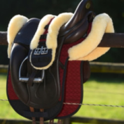 1016433/Horse-Dream-2.jpg