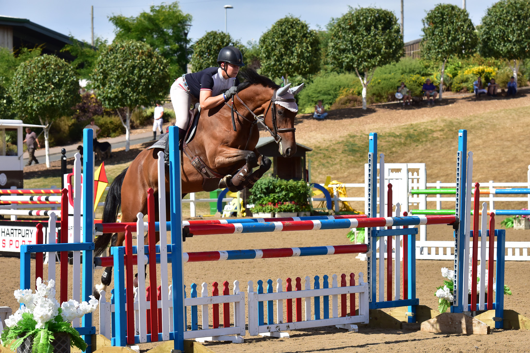 hartpury showjumping spectacular 2019 equestrian news hartpury showjumping spectacular 2019