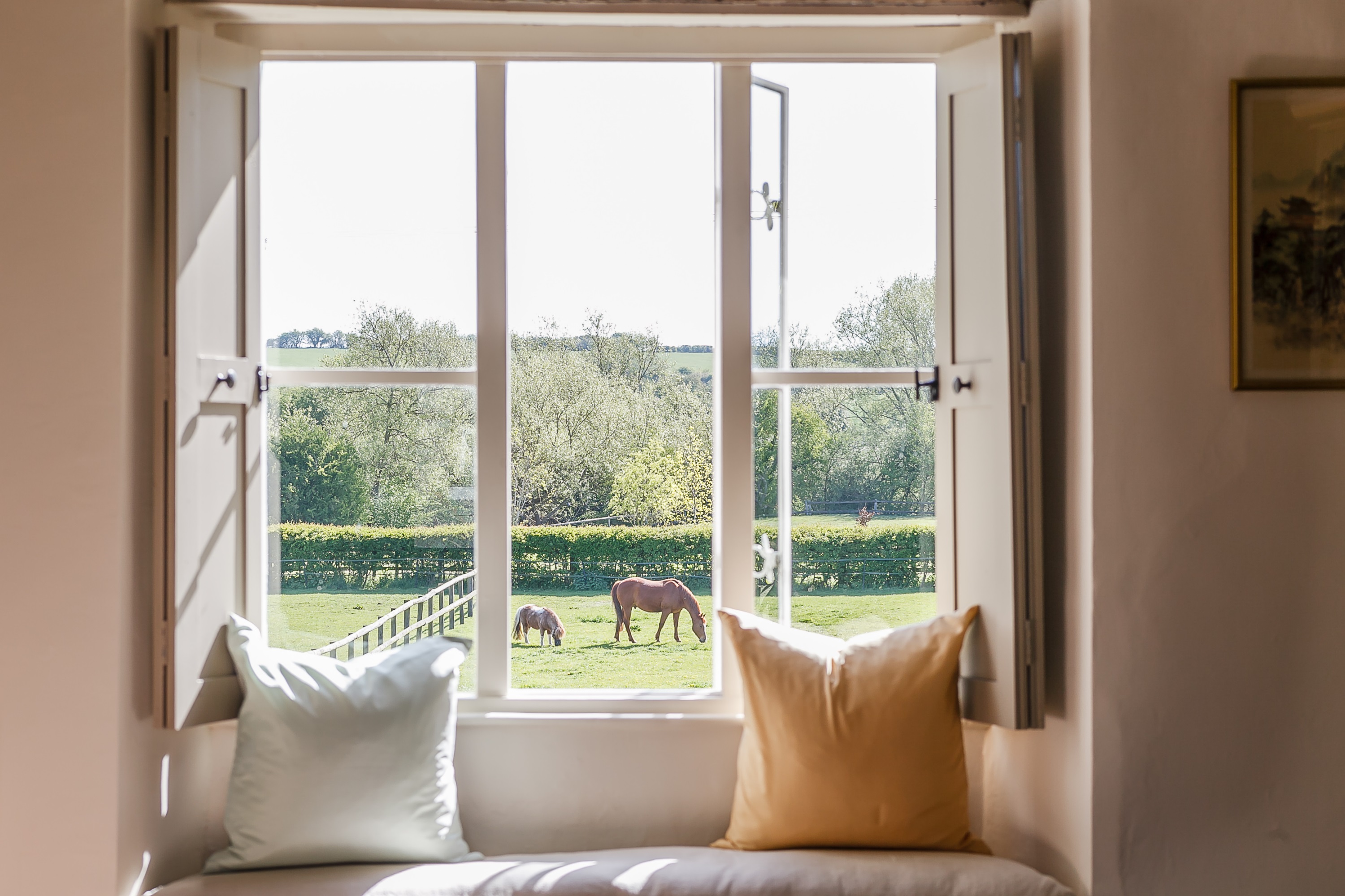 equestrian property view through window