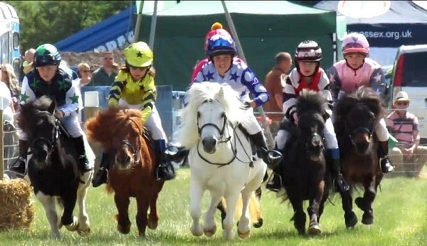 equestrian index equestrian news nhrmpony