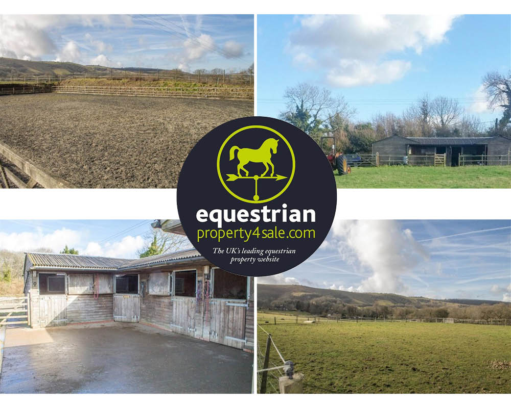 equestrian property for sale 