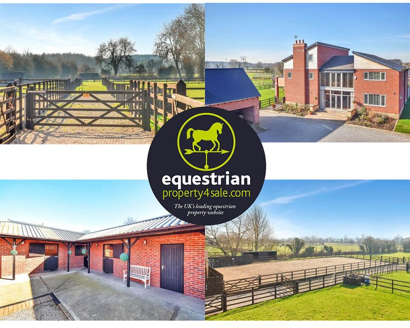 equestrian news featured property