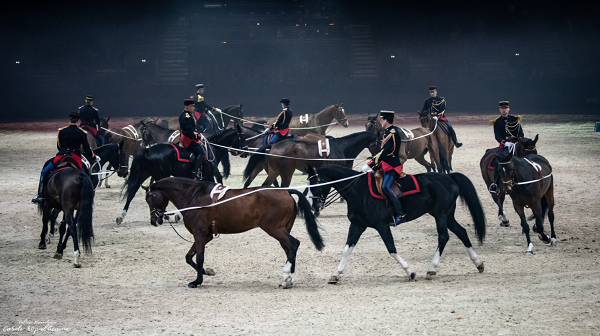 equestrian news equestrian index republic