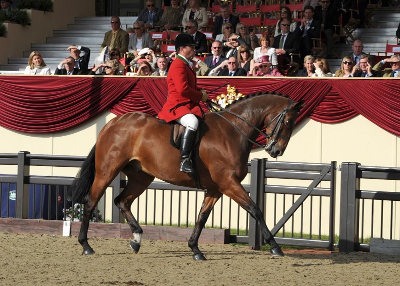 equestrian news the equestrian index robertwalker rwhs 2018