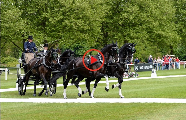 Equestrian Index Equestrian News rwhs18