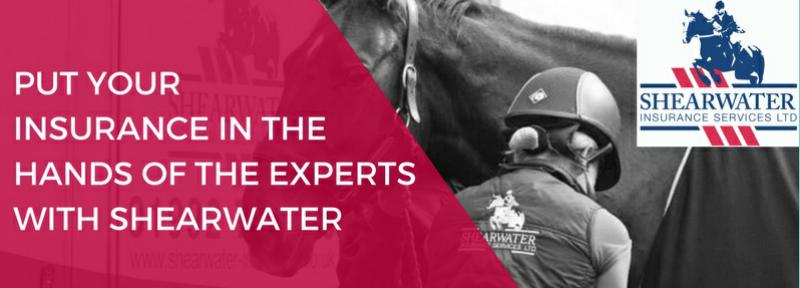 equestrian news the equestrian index Shearwater Insurance