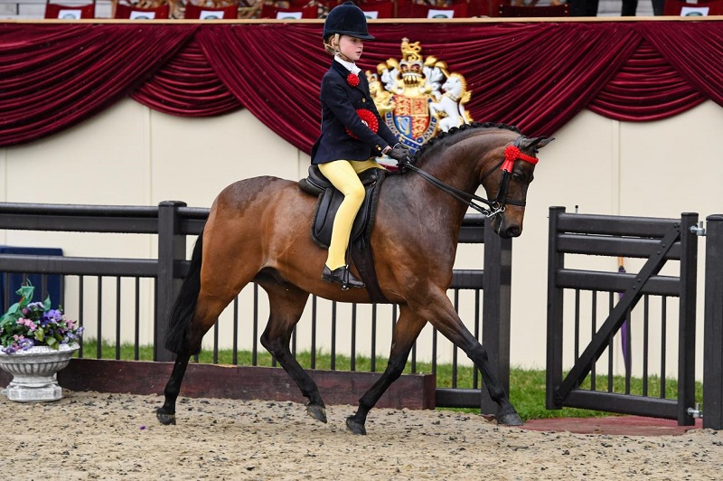 equestrian news the equestrian index showpony rwhs 2018