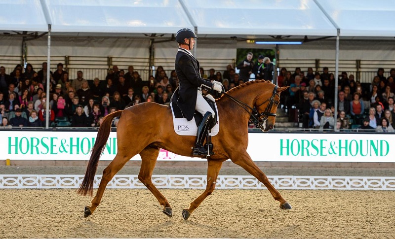 equestrian news the equestrian index RWHS 2018